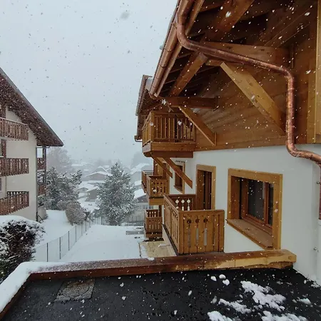 Apartment Familial Neuf Pres Du Village, 3 Chambres, Balcon Sud, Parking, Proche Ski-bus, - Fr-1-642-80 *